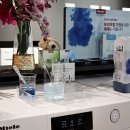 독일 프리미엄 가전 브랜드 밀레 125주년 이벤트 참석 후기