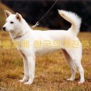 더국희