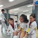 연세태권도 이미지