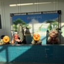 세종문화예술회관 | 내돈내산 뮤지컬 장수탕 선녀님ft. 세종문화예술회관(조치원) 솔직 후기