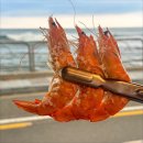 싱싱상회 - 밀양시 삼랑진로 139 | 싱싱상회