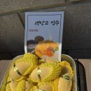 유달산 딸기 | 목포 근대역사관 앞 빙수 맛집, 유달동의로망스 생딸기빙수 생망고빙수 후기