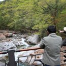 대원사계곡 이미지