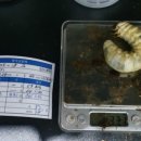 (주)운우 이미지