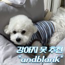강아지 옷 “앤블랭크” 내돈내산 후기