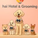 견생유치원 이미지