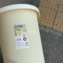 제주풀왓플로리스트학원 | 우당탕탕?그 이상의 플로리스트 도전기-(5)화훼장식기능사 실기 준비물_다이소편