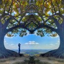 35살 싱글맘의 죄책감 이미지