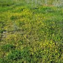 삼손농장 이미지