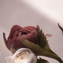 아미나요양병원 이미지