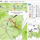 코아항공여행사