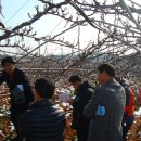 포전2농장 이미지