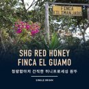 235커피 - 평택시 당현1길 89-13 | 235커피