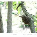 지월배수펌프장 이미지