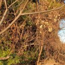 상예1마을회관 이미지