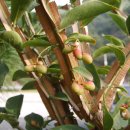 가을민박 이미지