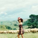 김태희농장 이미지