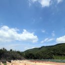 때깔천연염색연구소