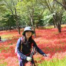 노래를찾는사람들 이미지