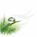 상일사 - 제주시 고마로5길 24 | 상일사