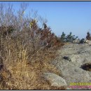 백동무궁화동산 이미지