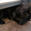 조산농장 이미지