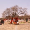 대지주 Daum카페