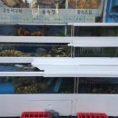 조개회먹는날 이미지