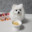 메리도프 | 강아지 화식 메리도프, 신선한 재료 노견 영양식 건강식