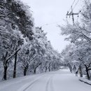 산과호수 이미지