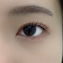 능곡프라자 | 시흥 능곡 속눈썹 늘래쉬 장현속눈썹 이벤트 중
