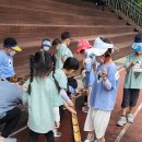 다을어린이집 이미지