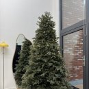 더 갤러리 | [강원/철원] 사계절이 예쁜 더갤러리 펜션 후기