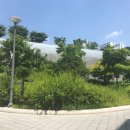 <로터스 랜드(Lotus Land)> 이미지