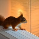 태성중학교 이미지