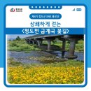 청도천6 이미지