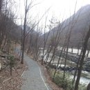 남이자연휴양림 이미지