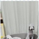 키티앤퍼피 이미지