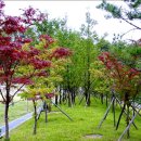 가장근린공원 이미지