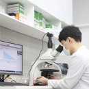 위더스 동물메디컬센터 부설 동물보호센터 | 고양이 요독증, 집사님들의 96%는 괜찮겠지? 하며 넘깁니다.