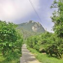 성부농장 이미지