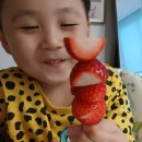 과일곳간