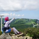 강원목장 이미지