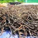 시골마당 이미지