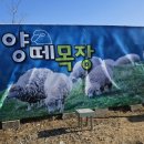 미숙목장 이미지