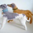 귀여운 강아지 이미지