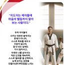 새빛 태권도 이미지