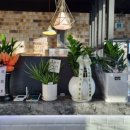 에린키친구미 이미지