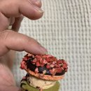 큰별마카롱