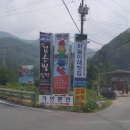 별 민박 이미지